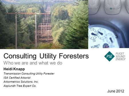 Consulting Utility Foresters Who we are and what we do June 2012 Heidi Knapp Transmission Consulting Utility Forester ISA Certified Arborist Arbormetrics.
