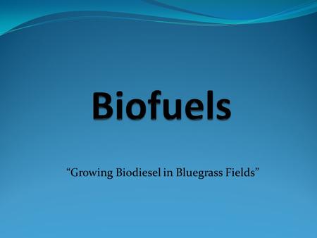 “Growing Biodiesel in Bluegrass Fields”. Background “The American economy depends on petroleum for transportation, which has created energy security concerns,