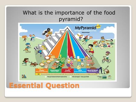 What is the importance of the food pyramid?