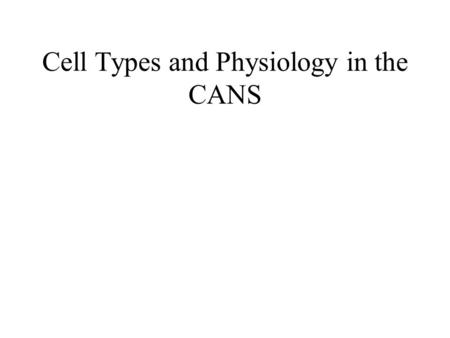 Cell Types and Physiology in the CANS. Major Components of the Central Auditory Nervous System (CANS) VIIIth cranial nerve Cochlear Nucleus Superior Olivary.