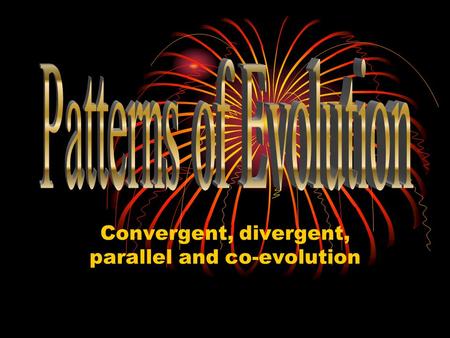 Convergent, divergent, parallel and co-evolution.