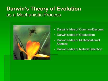 Darwin’s Theory of Evolution as a Mechanistic Process Darwin’s Idea of Common Descent Darwin’s Idea of Common Descent Darwin’s Idea of Gradualism Darwin’s.