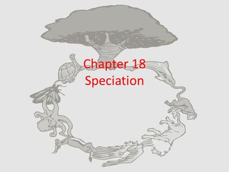 Chapter 18 Speciation. What is a Species? The morphological species concept expresses the following: – Species, in its simplest interpretation means “kind”