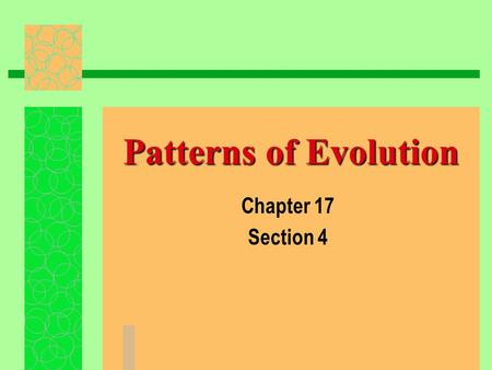Patterns of Evolution Chapter 17 Section 4. Macroevolution/Microevolution family large long  Macroevolution- One genus or family evolves into another….due.