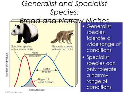 Generalist and Specialist Species: Broad and Narrow Niches