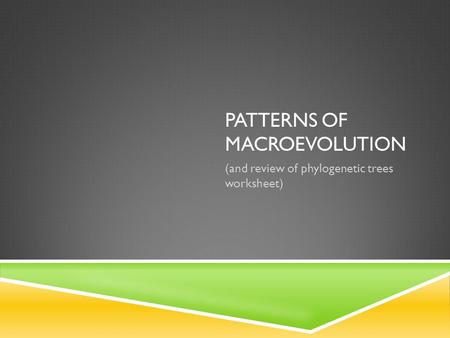 Patterns of Macroevolution