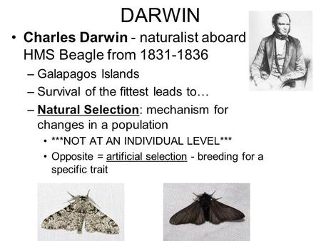 DARWIN Charles Darwin - naturalist aboard HMS Beagle from