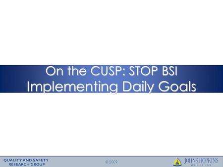 © 2009 On the CUSP: STOP BSI Implementing Daily Goals.