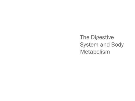 The Digestive System and Body Metabolism. The Digestive System Functions Ingestion—taking in food Digestion—breaking food down both physically and chemically.