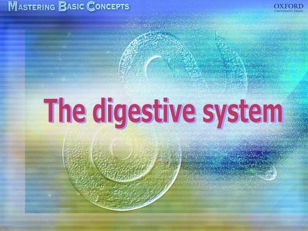 Components of the digestive system The alimentary canal Digestive glands Human digestive system The digestive system of a rat Peristalsis The structure.