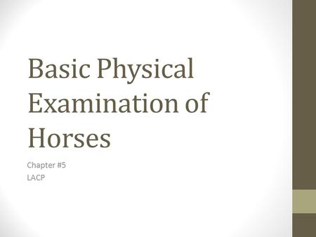 Basic Physical Examination of Horses Chapter #5 LACP.