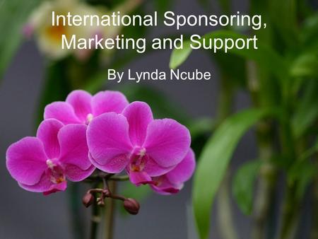 International Sponsoring, Marketing and Support By Lynda Ncube.