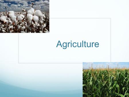 Agriculture. What is Agriculture? Agriculture is also called farming is the cultivation of animals, plants, and other life forms for food, and other products.