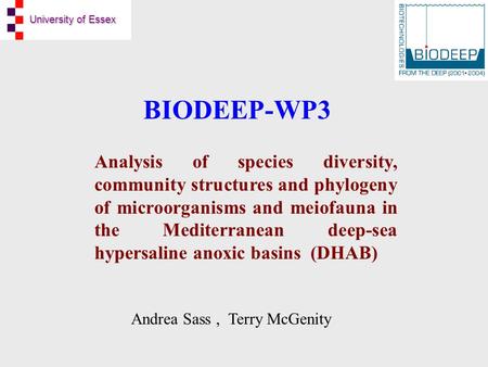 University of Essex BIODEEP-WP3 Analysis of species diversity, community structures and phylogeny of microorganisms and meiofauna in the Mediterranean.