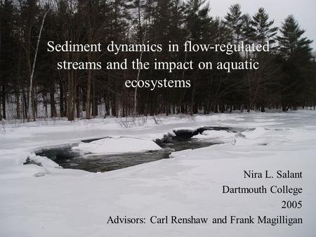 Sediment dynamics in flow-regulated streams and the impact on aquatic ecosystems Nira L. Salant Dartmouth College 2005 Advisors: Carl Renshaw and Frank.