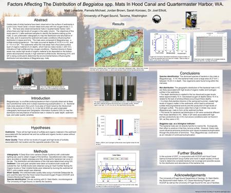 Factors Affecting The Distribution of Beggiatoa spp. Mats In Hood Canal and Quartermaster Harbor, WA. Matt Lonsdale, Pamela Michael, Jordan Brown, Sarah.