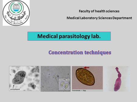 Medical parasitology lab.