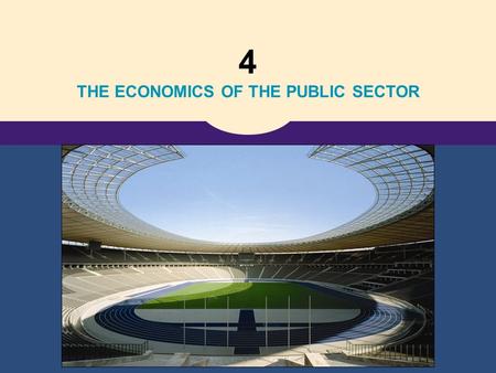 4 THE ECONOMICS OF THE PUBLIC SECTOR. Copyright © 2006 Thomson Learning 10 Externalities.