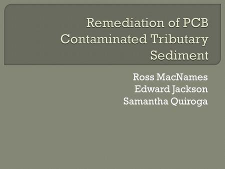 Ross MacNames Edward Jackson Samantha Quiroga.  Elevated levels of Polychlorinated Biphenyls (PCBs) found in sediment of the Little Brazos River 5-100.