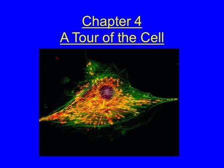 Chapter 4 A Tour of the Cell. Cytology: science/study of cells Light microscopy resolving power = measure of clarity Electron microscopy TEM = electron.