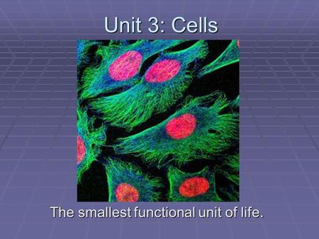 Unit 3: Cells The smallest functional unit of life.