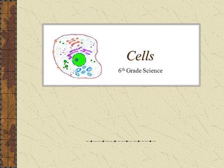 Cells 6th Grade Science.