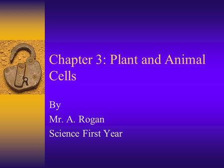 Chapter 3: Plant and Animal Cells By Mr. A. Rogan Science First Year.