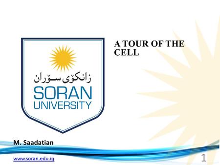 Www.soran.edu.iq M. Saadatian A TOUR OF THE CELL 1.