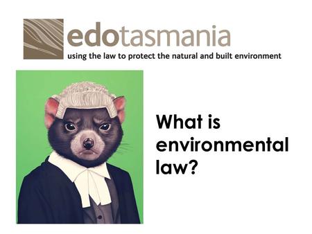 What is environmental law?. Why we love green tape Environmental laws are an essential element in achieving ecologically sustainable outcomes. These laws: