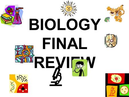 BIOLOGY FINAL REVIEW. What type of biomolecule are enzymes? –Protein.