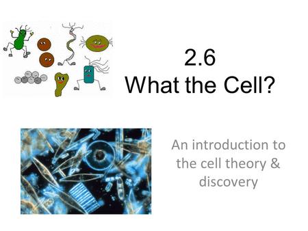 2.6 What the Cell? An introduction to the cell theory & discovery.