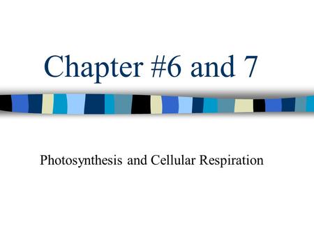 Chapter #6 and 7 Photosynthesis and Cellular Respiration.