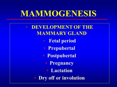 MAMMOGENESIS DEVELOPMENT OF THE MAMMARY GLAND Fetal period Prepubertal Postpubertal Pregnancy Lactation Dry off or involution.