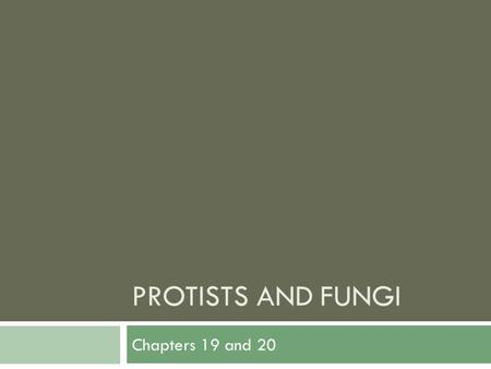 PROTISTS AND FUNGI Chapters 19 and 20. Origin of Eukaryotic Cells  Endosymbiotic Theory  The eukaryotic cell probably originated as a community of prokaryotes.