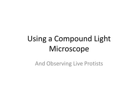 Using a Compound Light Microscope And Observing Live Protists.