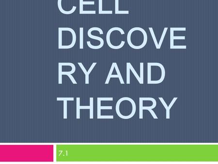 CELL DISCOVE RY AND THEORY 7.1. History of the Cell Theory  1665: Robert Hooke discovered cellulae using a microscope and cork  Cell: basic structural.