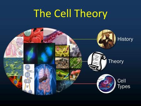 The Cell Theory History Theory Cell Types.