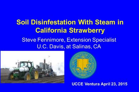 Soil Disinfestation With Steam in California Strawberry