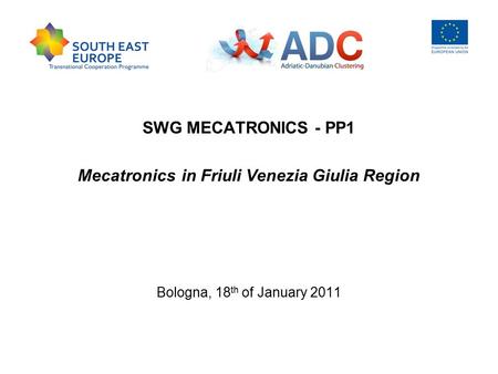 SWG MECATRONICS - PP1 Mecatronics in Friuli Venezia Giulia Region Bologna, 18 th of January 2011.