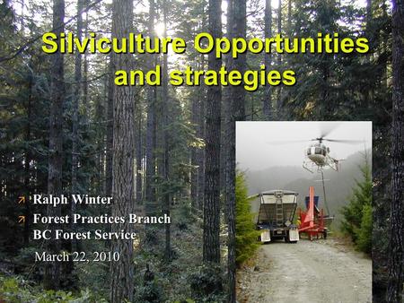Silviculture Opportunities and strategies ä Ralph Winter ä Forest Practices Branch BC Forest Service March 22, 2010.