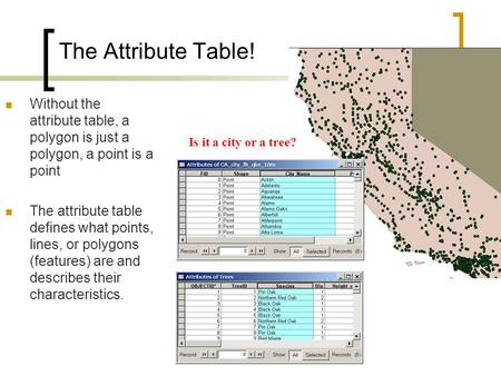 The Attribute Table! Without the attribute table, a polygon is just a polygon, a point is a point The attribute table defines what points, lines, or polygons.