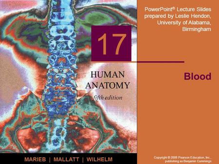 PowerPoint ® Lecture Slides prepared by Leslie Hendon, University of Alabama, Birmingham HUMAN ANATOMY fifth edition MARIEB | MALLATT | WILHELM 17 Copyright.