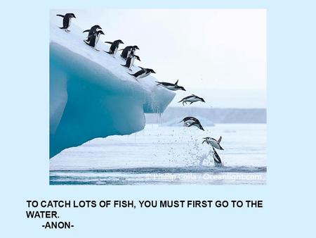 TO CATCH LOTS OF FISH, YOU MUST FIRST GO TO THE WATER. -ANON-
