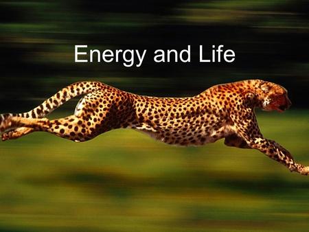 Energy and Life. Energy Energy is the ability to do work or the capacity to cause change. Autotrophs and Heterotrophs –Autotrophs – make their own food.