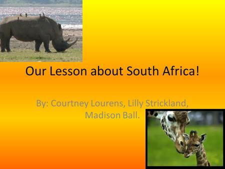 Our Lesson about South Africa! By: Courtney Lourens, Lilly Strickland, Madison Ball.