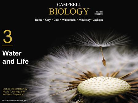 3 Water and Life Lecture Presentation by Nicole Tunbridge and