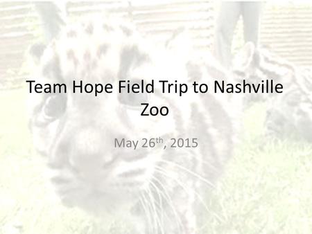 Team Hope Field Trip to Nashville Zoo May 26 th, 2015.