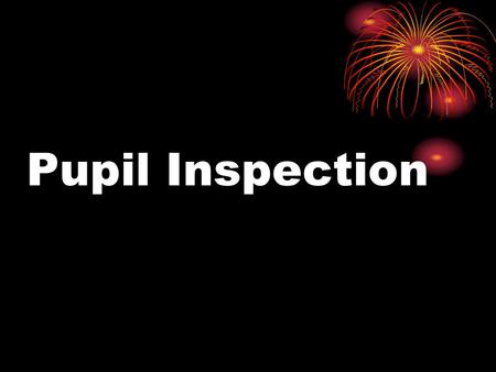 Pupil Inspection. SPRING BROOK SCHOOL Data collection sheet Pupil inspection 2010 Year of pupil interviewed: ___________ Interview carried out by: ___________.