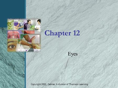 Copyright 2002, Delmar, A division of Thomson Learning Chapter 12 Eyes.