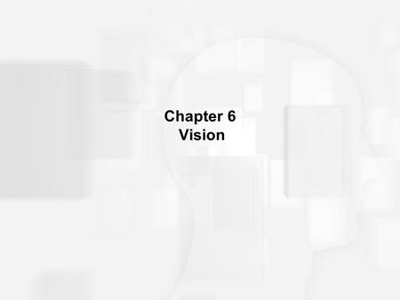Chapter 6 Vision.